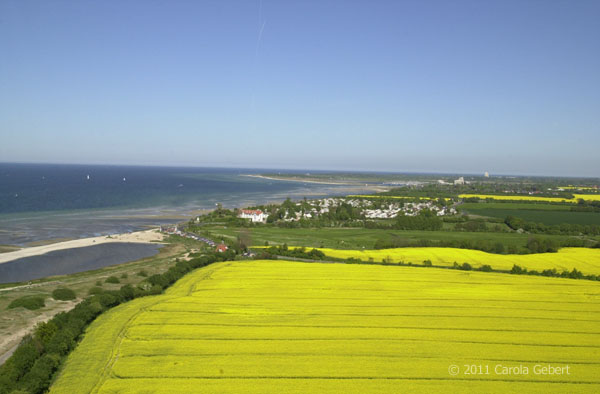 Bild des Tages vom 29.01.2026 Bild des Tages vom 29.01.2026