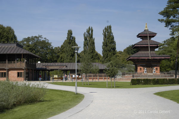 Bild des Tages vom 05.11.2025