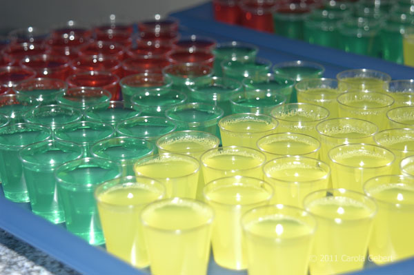 Bild des Tages vom 18.11.2025 Bild des Tages vom 18.11.2025