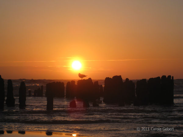 Bild des Tages vom 09.12.2025 Bild des Tages vom 09.12.2025