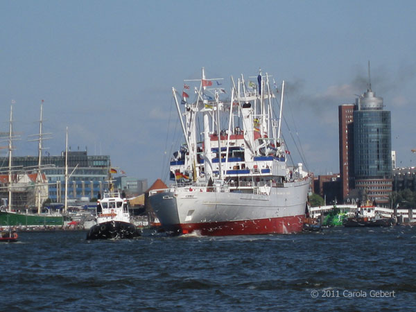 Bild des Tages vom 28.12.2025