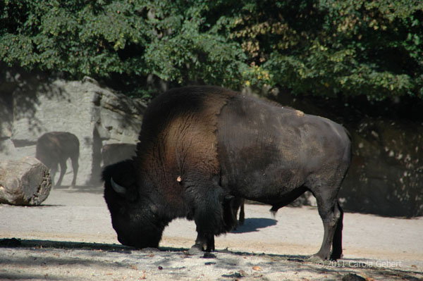 Bild des Tages vom 05.03.2026