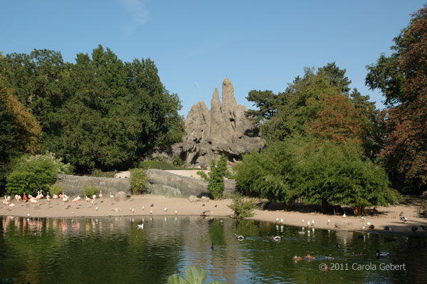 Bild des Tages vom 12.03.2026