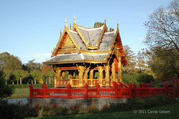 Bild des Tages vom 18.03.2026