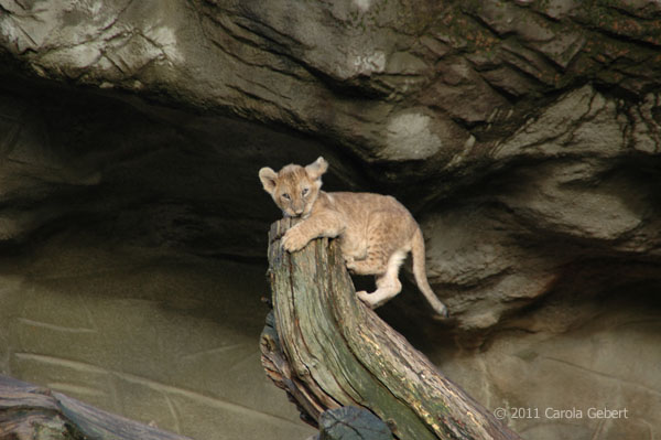 Bild des Tages vom 20.03.2026