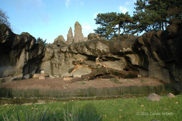 Bild des Tages vom 21.03.2026 Bild des Tages vom 21.03.2026